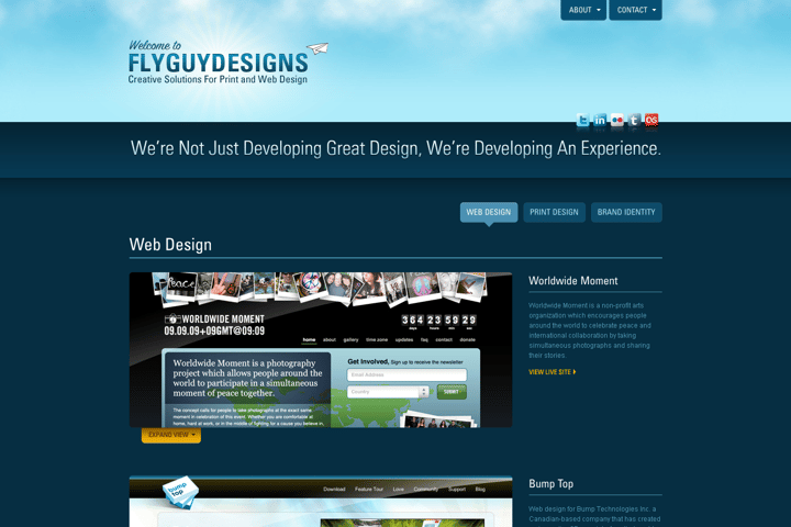 FlyGuy Designs